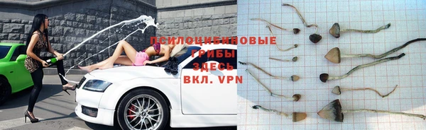кокаин премиум Арсеньев