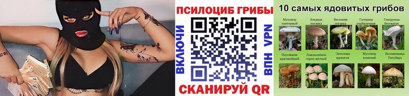 продажа наркотиков Суворов Псилоцибиновые грибы MAGIC MUSHROOMS