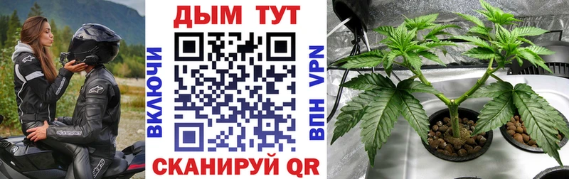 купить закладку Суворов мега зеркало Бошки Шишки SATIVA & INDICA